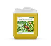 Aceite de jojoba prensado en frío de oro de 5 litros (5000 ml) - 100% puro - MyThaiMassage Premium - natural y vegano