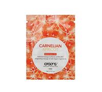 Aceite de Masaje Erótico Exsens Melocotón Albaricoque (referencia: S4000858)