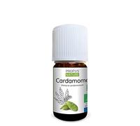 Aceite esencial de cardamomo 5 ml de aceite esencial