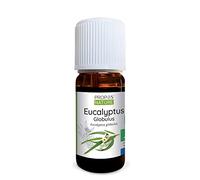Propos Nature Aceite esencial de eucalipto globulus bio 10ml