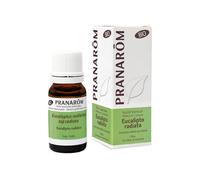 Aceite Esencial de Eucalipto Radiata Bio 10 ml de aceite esencial (Eucalipto)