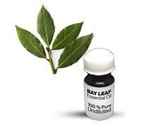Aceite esencial de hoja de laurel / Aceite esencial 100% puro sin diluir de alta calidad (250 ml)