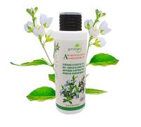Aceite esencial Elitzia humidificador de difuaceite esencial Elitzia humidificador difujazmílavanmenta menta limón romero eucalipto planta de aromaterapia Natural limpieza de puro Set