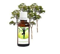 Aceite perfumado - Foret