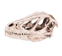 Acentos de Decoración para el Hogar, Modelo de Cráneo de Dinosaurio de Resina, Esqueleto de Animal Simulado, Accesorio Decorativo para el Hogar y la Oficina