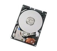 Acer KH.32001.023 320GB SATA - Disco duro (SATA, Unidad de disco duro)