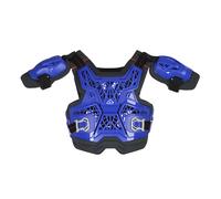 Acer ravedad Juego Niño Roost Deflector Azul 0023899.040