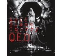 Acid Black Cherry - 2009 Tour Q.E.D. [Edizione: Giappone] [Italia] [Blu-ray]