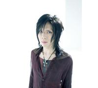 Acid Black Cherry - Jigsaw