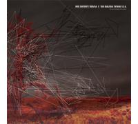 Acid Mothers Temple - Glorify Astrological Martyrdom [Vinilo]