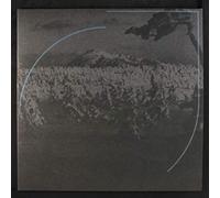 ACID MOTHERS TEMPLE & MELTING PARAISO UF - In Search Of Lost Divine Arc [VINYL] [Vinilo]