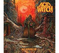 Acid Witch - Rot Among Us (Black Vinyl W/ Poter) [Vinilo]