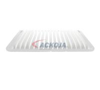 Filtros y aceite > Filtro > Filtro de aire (de coche)