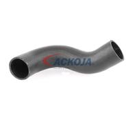 ACKOJA A38-0298 Tubo flexible de aire de sobrealimentación