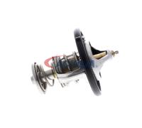 ACKOJA A52-99-0019 Termostato, refrigerante