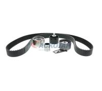 ACKOJA Kit de distribuciÃ³n para KIA: Carnival, K2900, Sedona & HYUNDAI: Terracan (Ref: A53-0201)