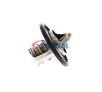 ACKOJA A53-99-0002 Termostato, refrigerante