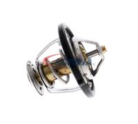 ACKOJA A53-99-0011 Termostato, refrigerante