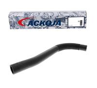 ACKOJA A70-1600 Tubería de radiador