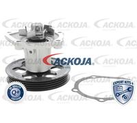 ACKOJA Bomba De Agua Mecánica Para Toyota Starlet EP9 P8 P7 Corolla Compacto