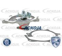 ACKOJA Bomba de agua para KIA: Sorento, Carnival, Sportage, Sedona & HYUNDAI: Santa Fe, Tucson, ix35 (Ref: A52-0706)