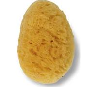 Acofar Esponja Natural Talla Pequeña 1ud