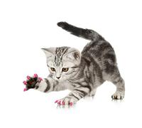 ACOGEDO 100 Piezas de Cubierta de Uñas de PVC Suave para Mascotas y Gatos, Accesorio de Aseo para Envolver Garras, Seguro, No Tóxico para la Cubierta de Uñas de Gato, Tapa de para, para Cuidado de