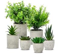 ACOMTUO 6 Piezas de Planta Artificial, decoración de Sala de Estar, Mini Plantas Artificiales Lengua de Serpiente, suculenta de Agave, Aloe Garra de águila, Plantas Artificiales para decoración