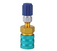 Acoplador R¨¢pido Lado Bajo Conector L¨ªquido Fluorado Refrigerante Autom¨®vil 13LS5V1 R1234YF Accesorios Hidr¨¢ulicos Conexi¨®n R¨¢pida