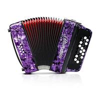 Acordeón de 22 tonos y 8 bajos con correa, instrumento educativo para principiantes y estudiantes (morado)