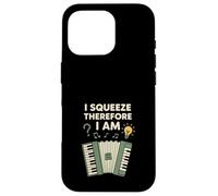 Acordeón Jugador Músico Squeezebox Life Folk Rhythm Vibe Carcasa para iPhone 16 Pro