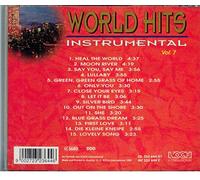 Acoustic Sound Orchestra - World Hits-Instrumental Vo [Import]