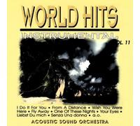 Acoustic Sound Orchestra - World Hits-Instrumental Vo [Import]