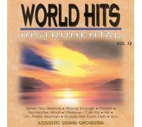 Acoustic Sound Orchestra - World Hits-Instrumental Vo [Import]