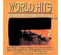 Acoustic Sound Orchestra - World Hits-Instrumental Vo [Import]