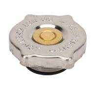 Acouto Capege Radiator que Cubre 52028974AA Frente, Número 55111361AA, Equipo Sostenible, Adaptado a un Ajuste Múltiple para