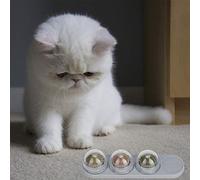 Acouto Cat Snack Lick Catnip Nutrition Bola Redonda de Bolas Reductor Sana Suministros para Mascotas Mint Mint Mint Catnipcat TOYPET Toycatnip Toycat