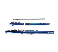 Acouto Flautas C Orificio Cerrado 16 Teclas para Niños Principiantes Amplio Rango Vocal Respuesta Sensible Flautas Flexibles Treasure Blue con Boquilla Pulida a Mano Resorte de Ag