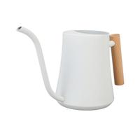 Acouto Indoor Watering Can Long Regadera Interior de Acero Inoxidable, Caño Largo con de Madera, Maceta de 1 L para Plantas y Flores de Interior (Blanco Mate)