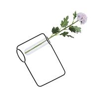 Acouto Innovador Macetero Colgante con Tubo de Ensayo, Jarrones Transparentes para Plantas Hidropónicas para el Hogar, Interior, Dorado, Se Corroe Fácilmente, Se Deforma, Cuelga y Es Duradero para