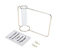 Acouto Innovador Macetero Colgante con Tubo de Ensayo, Jarrones Transparentes para Plantas Hidropónicas para el Hogar, Interior, Dorado, Se Corroe Fácilmente, Se Deforma, Cuelga y Es Duradero para