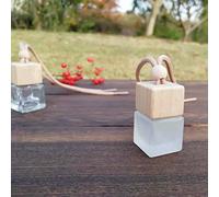 Acouto Perfume de Automóvil de Freshner 3 Paquete Freshner Carrero Colgante Perfume Vacío Fragancia Recargable Difusor de Botella de Vidrio Vacío Alrededor de la Botella 8 Ml de Tope Interno (Como