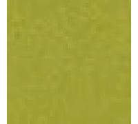 ACRILEX - ACRÍLICA FOSCA MATE 60ML (570 VERDE PISTACHO)