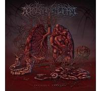 Across the Swarm - Invisible Threads [Casete]