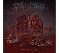 Across the Swarm - Invisible Threads [Vinilo]