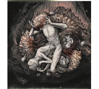 Across The Swarm - Projections [Vinilo]