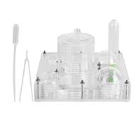 Acrylic Breeding Box Transparent Farm Habitat with Anti Escape Design for Kids Science Observation Toy Educational Terrarium