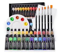 Acrylic Paints Set - 24 Colors Art Painting Kit Supplies for Wood, Canvas, Fabric, Rock, Glass - Non-Toxic Acrylic Paint for Kids, Beginners and Artists (with 6 Brushes,1 Palette and 2 Canvas)