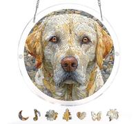 Acrylic Puzzles Suncatcher Window Hanging, Sun Catcher Puzzle Curtain Decoration DIY Suncatcher Puzzle Kits with Chain 7.36 Inch for Women Men Mom Birthday Home Office Gift