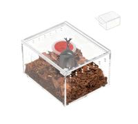 Acrylic Reptile Enclosure - 4.13 Inch Transparent Terrarium | Clear Breeding Feeding Box, Ventilated Observation Tank for Spider, Lizard, Frog, Gecko, Snail, and Turtle Use
